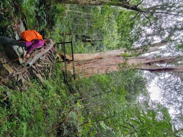 北得拉曼-20204062859829