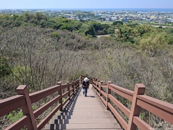 《高雄》泥岩惡地｜漯底山自然公園大O繞順訪永安、茄萣濕地202603133014687