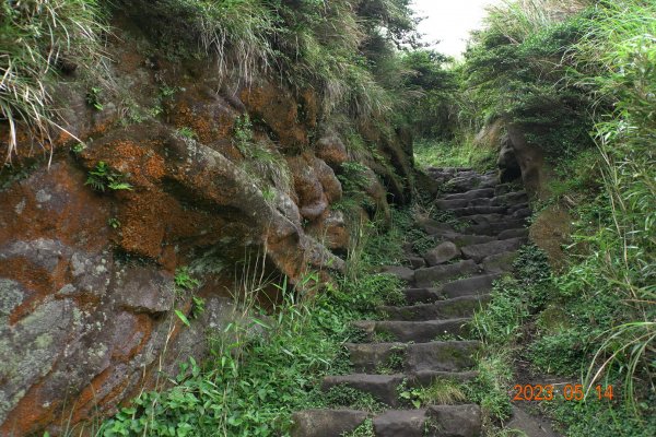 臺北 北投 七星山主峰、東、南、北峰2150433