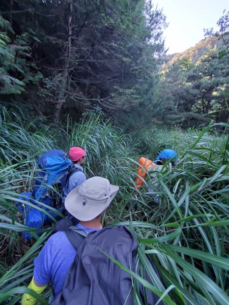 硬邦邦四天「雪山西稜」全記錄！大雪山黃金稜線必訪1451359