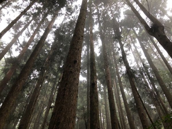 特富野古道登自忠山、東水山、北霞山313239