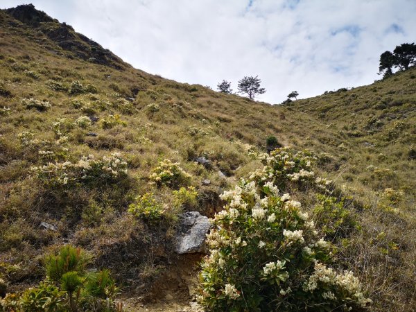 巴庫拉斯，七彩湖1339125