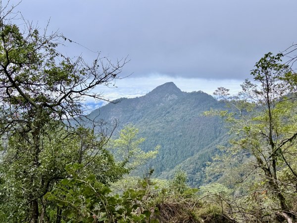 撒落一路楓紅-稍來山    2026.01.012976378