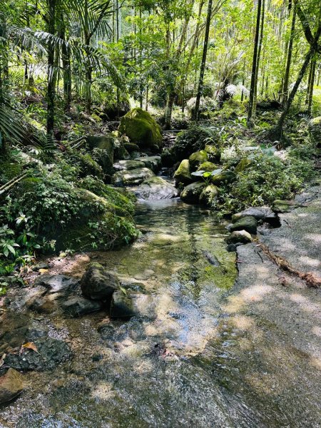 關仔嶺大凍山2845809