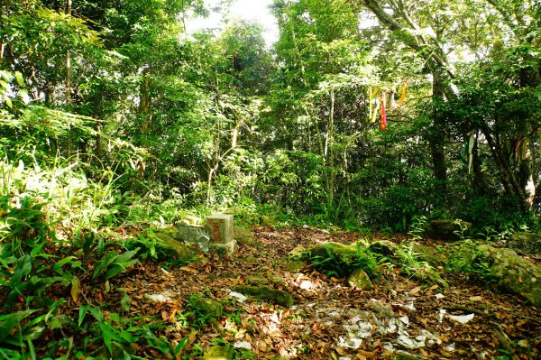 新竹 尖石 那羅山、煤源山3068661