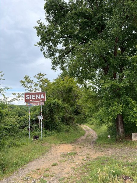Via Francigena D3: monteriggioni-siena3072817