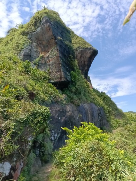 瑞芳區海園古道+鼻頭港稜+鼻頭山稜O型2872780