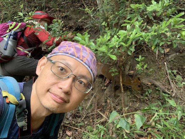 20240525高雄番子寮山-番子寮山主峰2517794