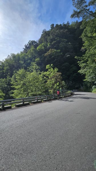 【被遺忘的南橫仙境】中之關、天池步道O繞10K2798179