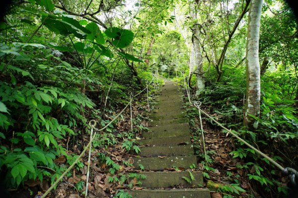 台中 和平 埋伏坪山2924976