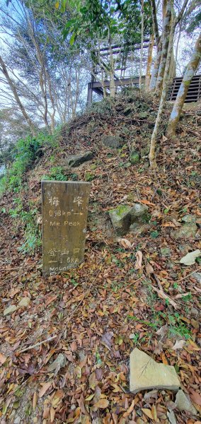 2023-12-02梅峰古道、獵鷹尖一線天步道、伍龍步道環行一圈2367075