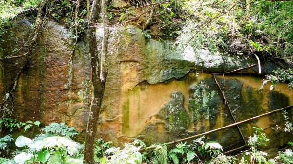 微笑山線和美山螢火蟲段2845895