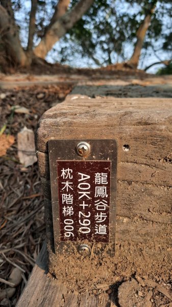 《彰化》桃源里龍鳳谷森林步道O型202104051335303