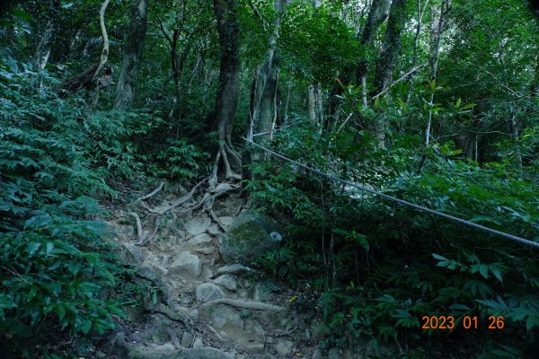 屏東 獅子鄉 里龍山(里隆山、里瀧山、鯉龍山)、下里龍山2018550