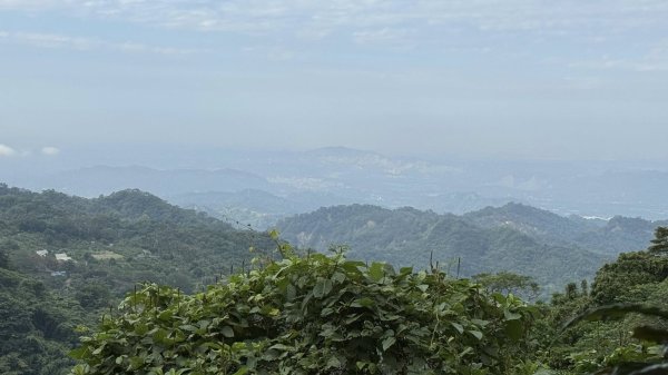 20251025 小百岳竹子尖山及刣牛湖山2925025