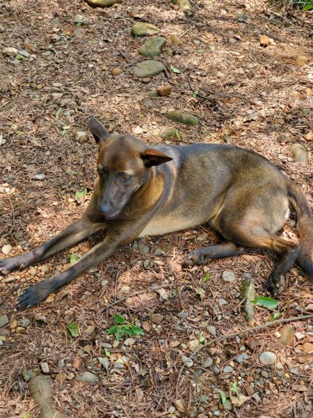 【彰化 | 橫山】975458