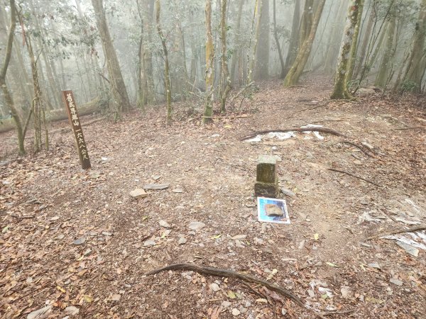 20260220板子寮山舊武界越山橫屏山O型3011644