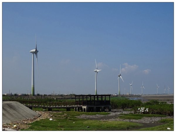 大安龜殼公園景觀步道976507