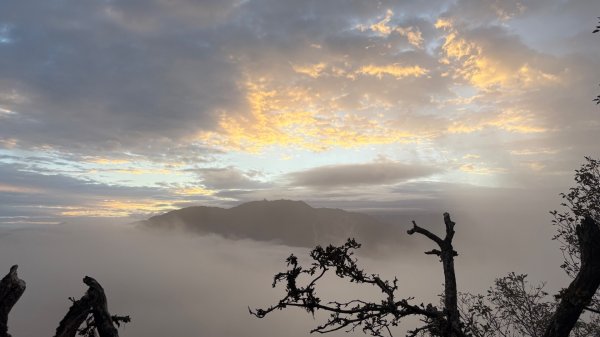 再見加里山封面