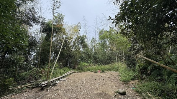 20250927小百岳鳳凰山2896374