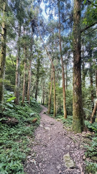 20250629三峽雲森瀑布2837778