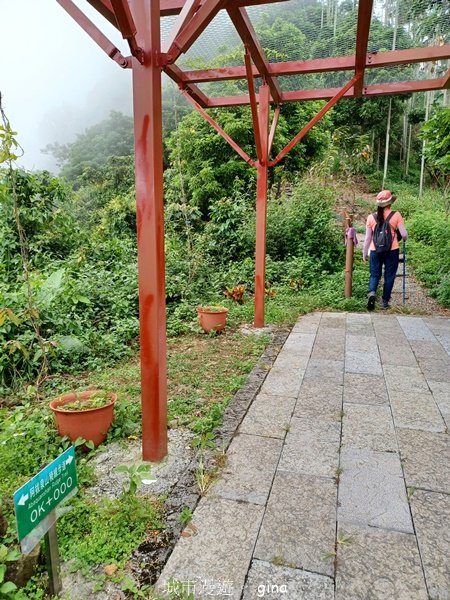 【嘉義竹崎】說好的稜線風景呢。阿拔泉山稜線步道連走獨立山O繞2684124