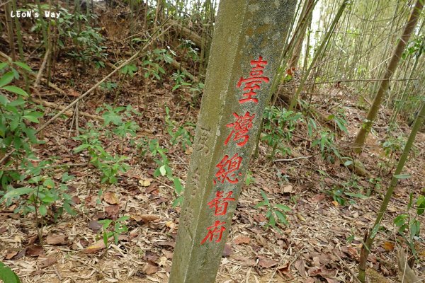 大坪頂山 土砂扞止保安林2404653