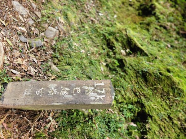 福巴越嶺古道 達觀山 檜山2016575