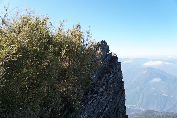 開車帶給我的樂趣不亞於爬山的旅程 郡大山850629