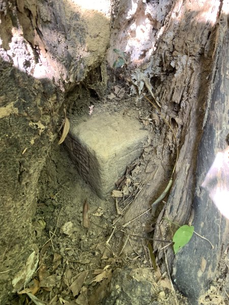 20251122高雄河埧寮2945284