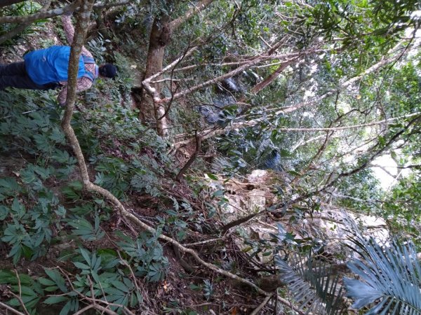 ▲鵝公髻山西南南峰,鵝公髻山西南峰,鵝公髻山,鳥嘴山1539966