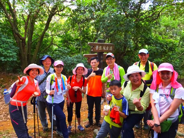 桃園五酒桶山步道389794