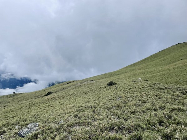 【百岳｜南二段】五天四夜晴空萬里的南二段！嘉明湖、黃金大草原、大水窟山屋、八通關古道盡收眼底1997469