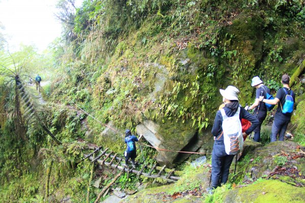 [花蓮中級山] 砂卡噹三雄 清水大山894267