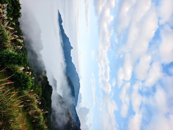 #樹梅坪 #金瓜石 12/102958905