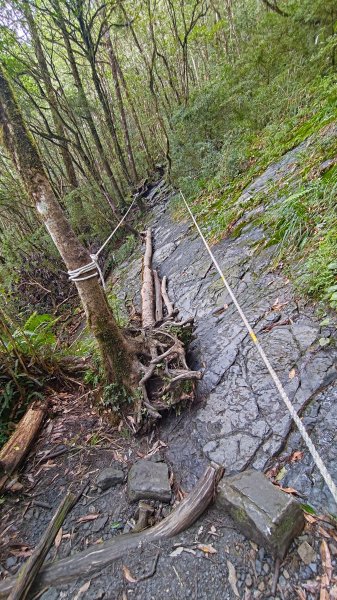 棲松縱走未竟2918322