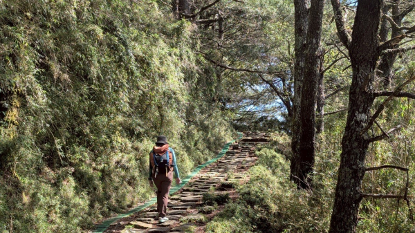 【東埔山x鹿林山】狀態很好之尋寶挺公益！