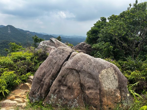 內湖金面山2811754