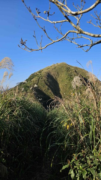 20260115基隆山主東峰2982654