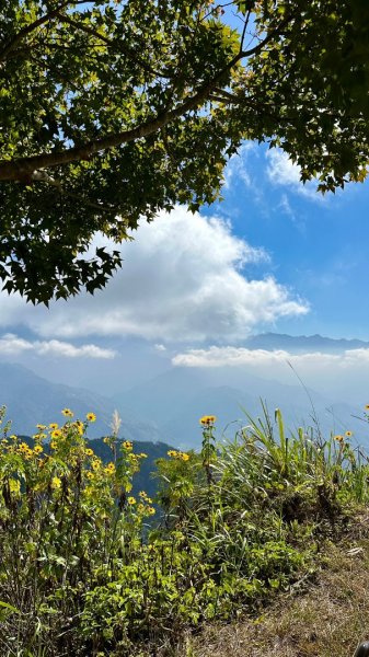 馬那邦山O走2370159