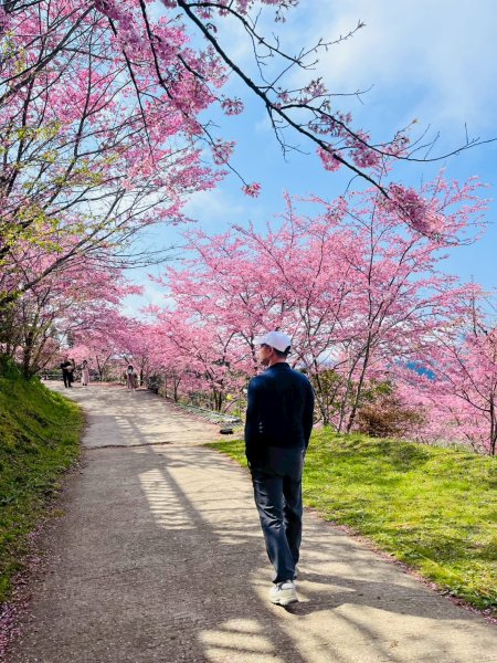 桃園 復興 巴陵 恩愛農場3011874