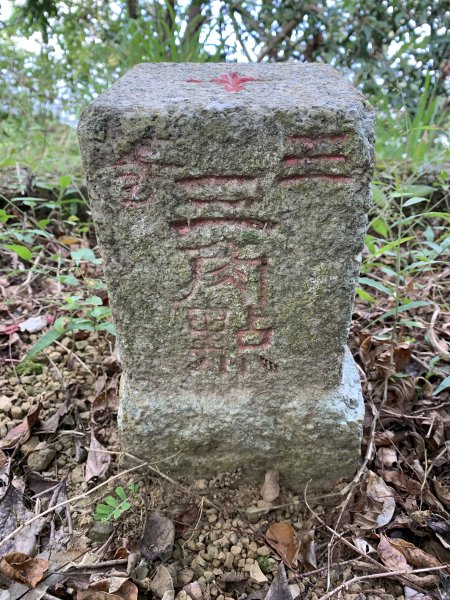 20251115台南牛埔山2938106