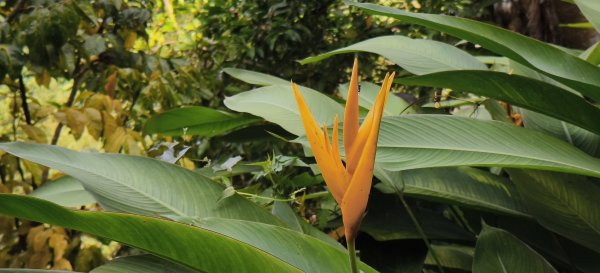 北埔一日遊-2025/12/142962615