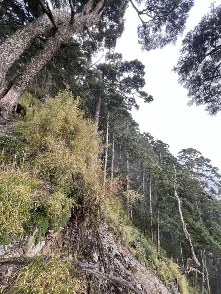 百岳-塔關山2695797