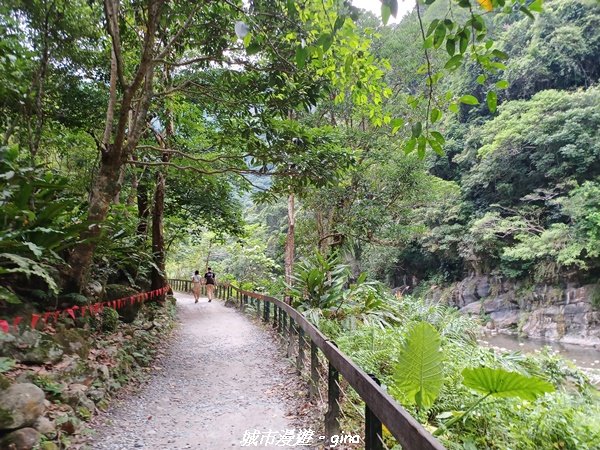 【花蓮秀林】美景天成。 砂卡礑步道2241832