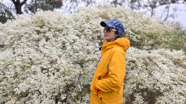 北部出發來去中部悠哉走個鐵砧山2993385