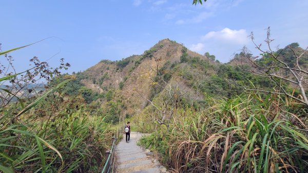 九九峰步道1287109