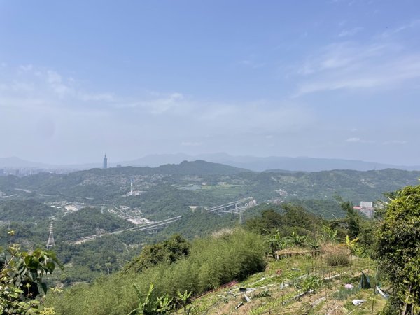 魚猴13連峰2757353