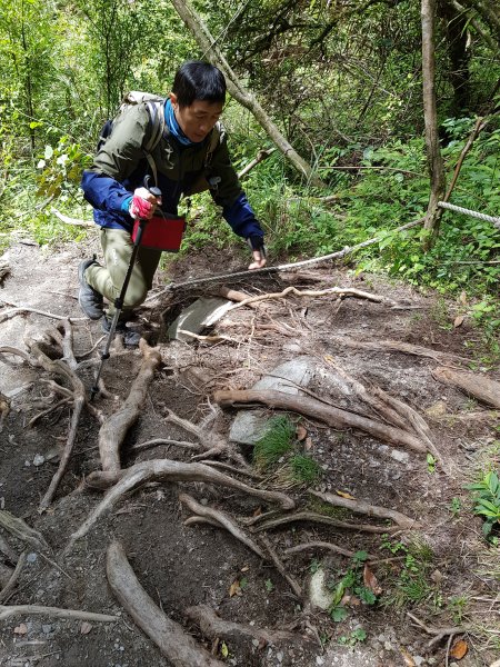 台東/高雄-庫哈諾辛山3053765