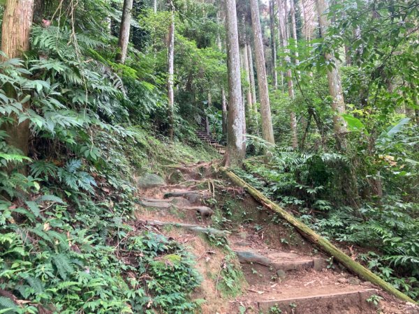 五指山登山步道2293191